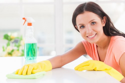 End of tenancy cleaners introducing a professional property cleaning service