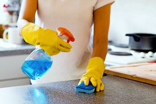 End of tenancy cleaning team scrubbing bathroom fixtures