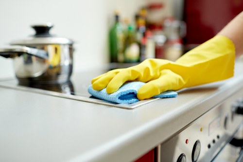 Cleaner treating stains on carpet before a move-out inspection