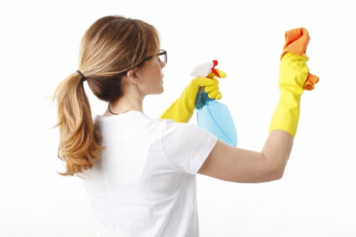 Bathroom deep cleaning during end of tenancy with limescale removal