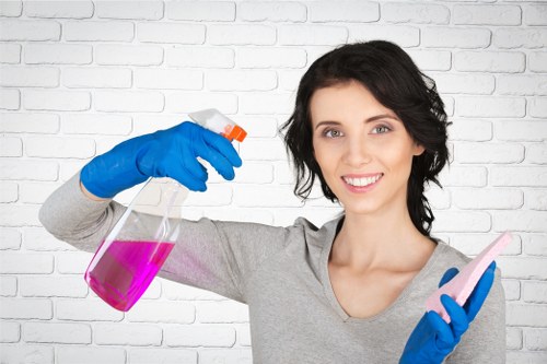 Professional oven cleaning service removing grease and grime
