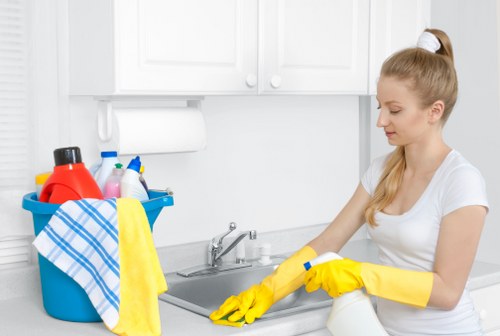 Types of oven cleaner suitable for move-out cleaning
