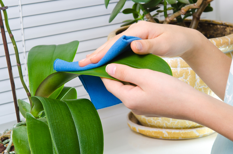 Revitalize Your Floors with These Carpet Cleaning Tools